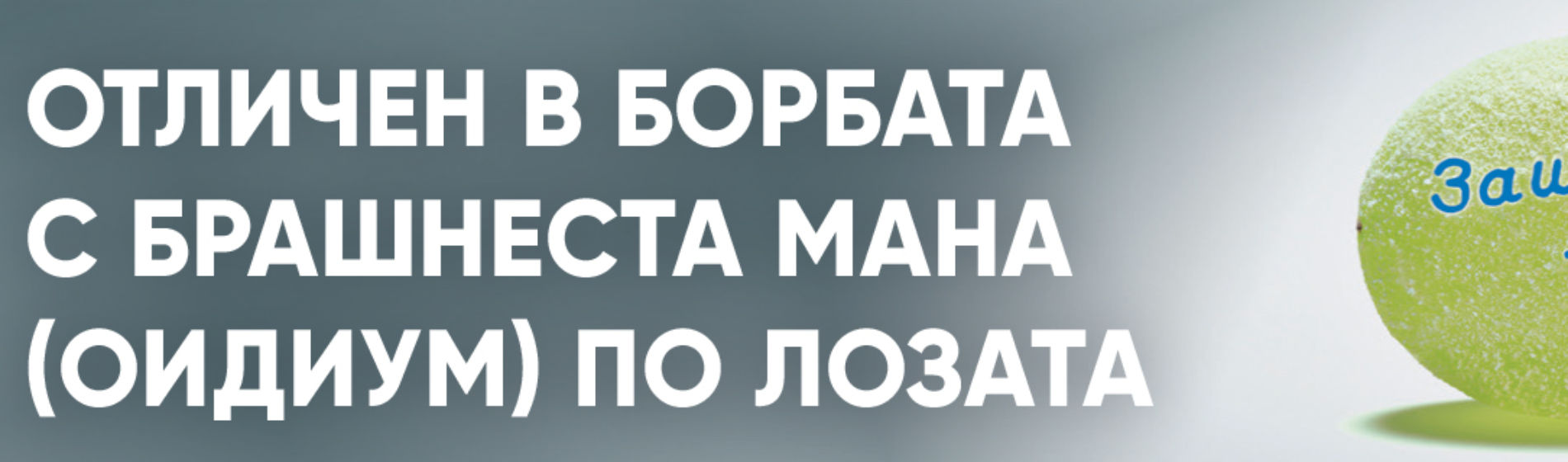 IMG_www_RZ_Talendo_1440x320_new