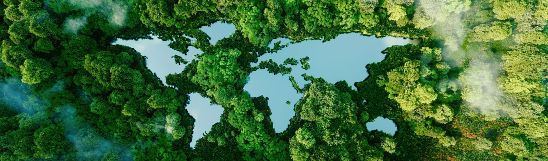 Climate Positive
