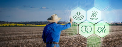 Colex-D herbicide