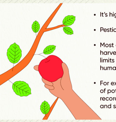 Image-HandPickingApple