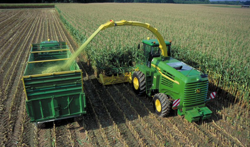 Pioneer Maize Hybrids