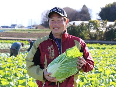 結球初期のアブラムシ防除に！　白菜生産を支援するトランスフォーム™ フロアブル 