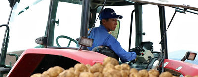 Img_head_Biei-001_eyecatch