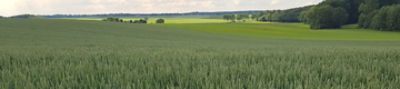 Inatreq_Waals_Brabant_header.