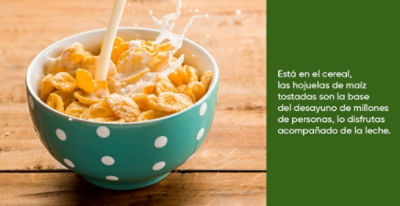 El maíz mueve al mundo