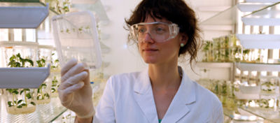 Innovation_HeroArticle_Image_big