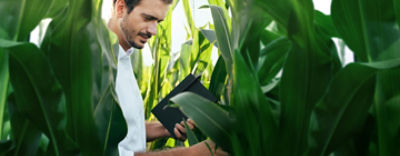 Versuchsergebnisse Mais 2023