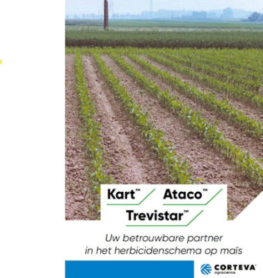 Brochure Kart in mais