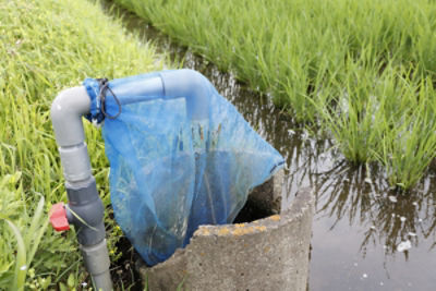 給水栓の口にネットをかぶせ、侵入を防ぎます。