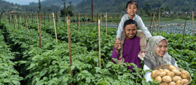 Manager speaking to a team