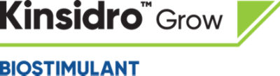 Kinsidro Grow logo