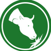 Jakościowa kiszonka