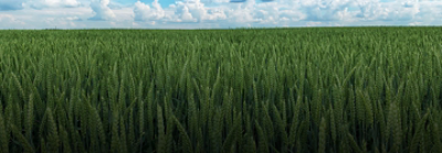 Kontakt os billede.png