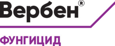 LG-BG_Verben_mkt_txt_bg_pms_download-EU-BG-V1