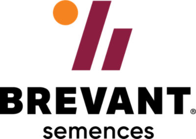 Brevant Logo