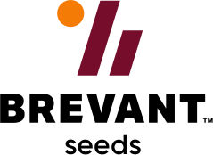 Brevant Logo
