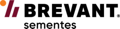 Efeitos visuais do logo Brevant 