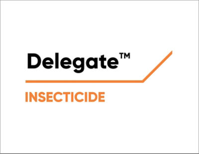Delegate Logo