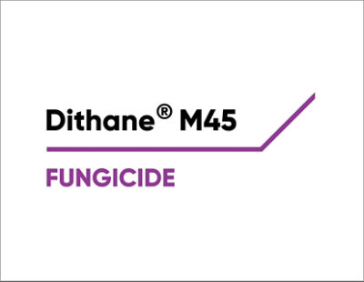 Dithane Logo
