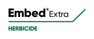 Embed Extra logo
