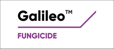 Galileo logo