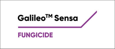 Galaileosensa logo