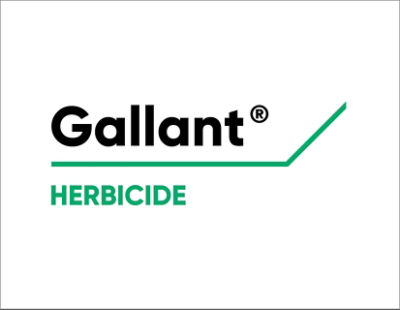 Gallanr Logo