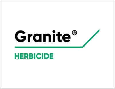 Granite Logo