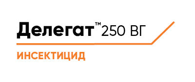 Делегат™ 250 ВГ