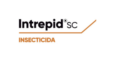 Logo de Intrepid