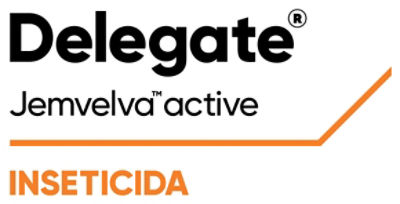LG-LogoDelegate-Corteva-LA_BR-V1