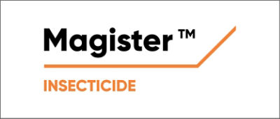 Magister Logo