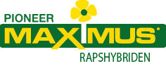 Brand_Logo