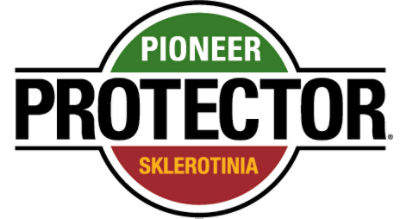 Brand_Logo
