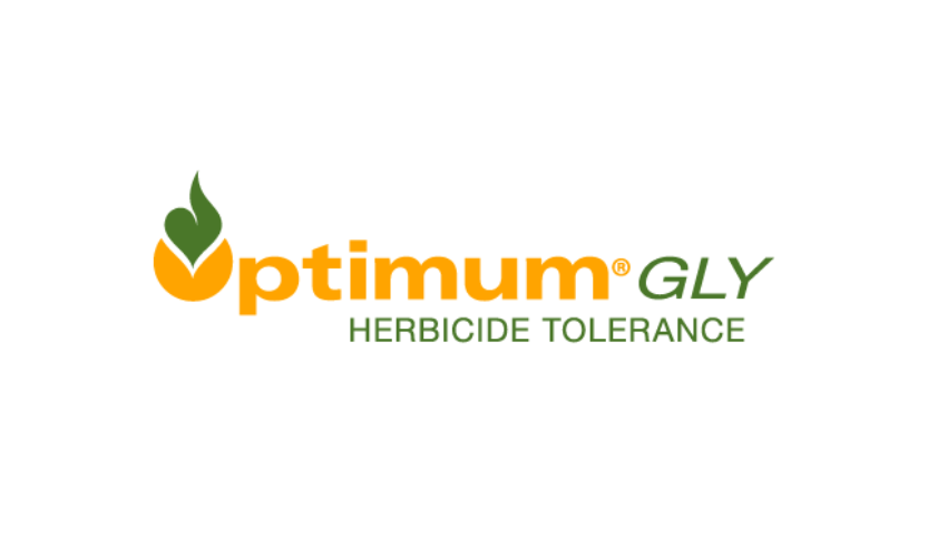 Optimum Gly logo