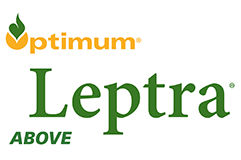 Optimum Leptra