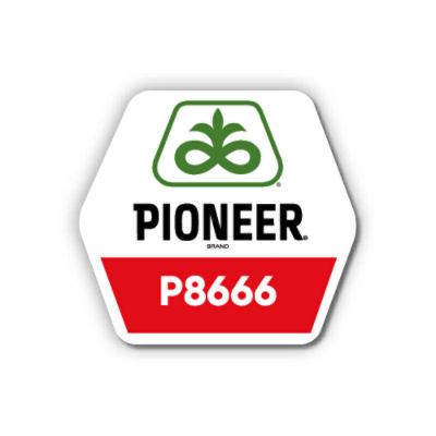 LG-P8666-Pioneer-EU_UA-V1
