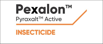 Pexalon Logo