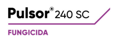 Logo do PulsorÂ® 240SC