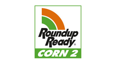 RR Corn 2