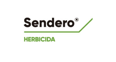 Logo de Sendero