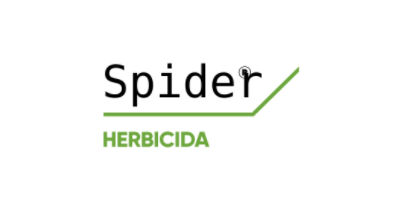 Logo de Spider
