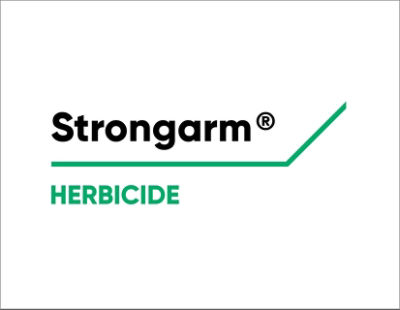 Strongarm Logo