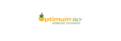 Pioneer Canola - Optimum® GLY trait