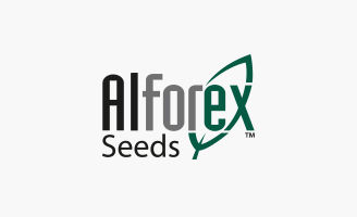 Image of Alforex Seeds logo