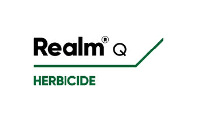 Realm Q logo