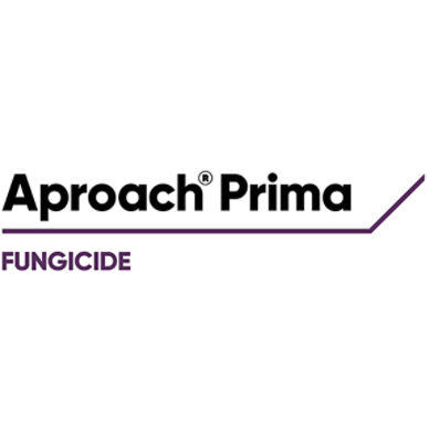 Logo - Aproach fungicide