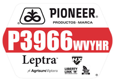 P3966W-P3966WVYHR