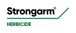 Strongarm logo
