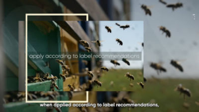 LUMIPOSA - SUSTAINABILITY